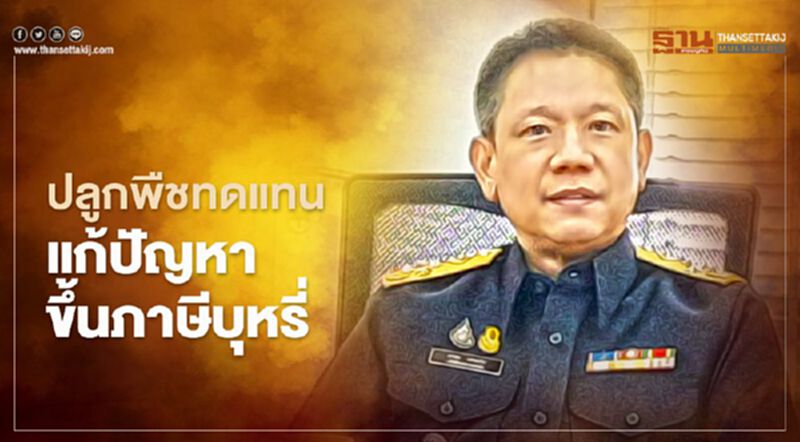 สรรพสามิต เตรียมทางออกให้ชาวไร่ยาสูบปลูกพืชทดแทน สรรพสามิต เตรียมทางออกให้ชาวไร่ยาสูบปลูกพืชทดแทน