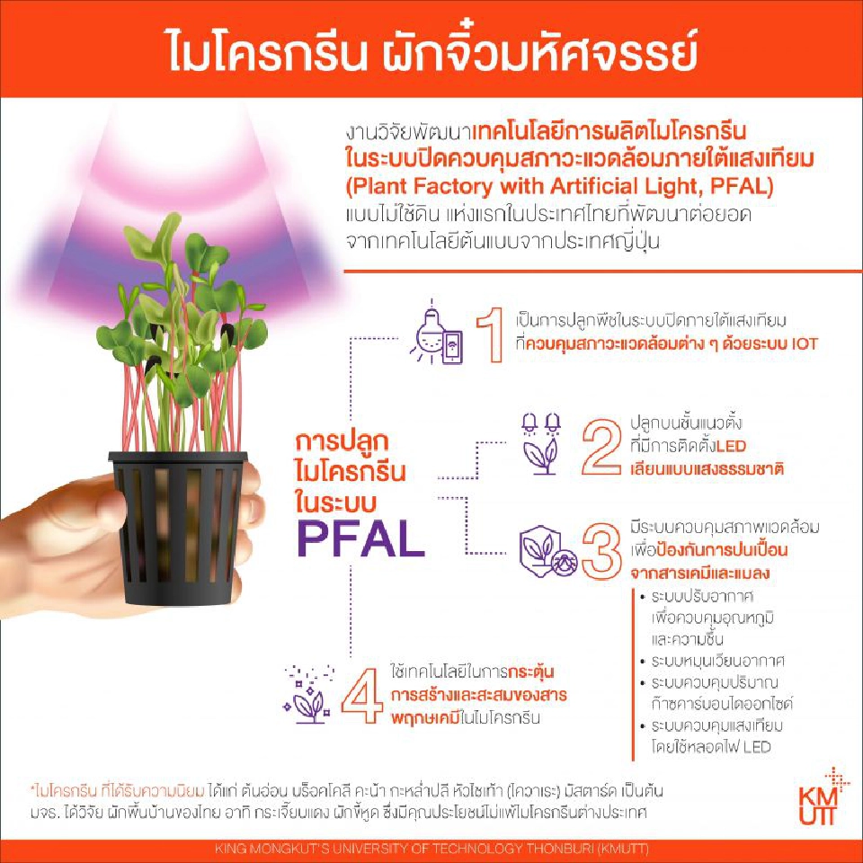 “ไมโครกรีน” ผักจิ๋ว คุณประโยชน์เจ๋ง