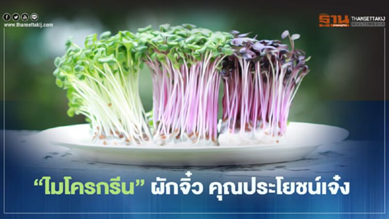 “ไมโครกรีน” ผักจิ๋ว คุณประโยชน์เจ๋ง “ไมโครกรีน” ผักจิ๋ว คุณประโยชน์เจ๋ง