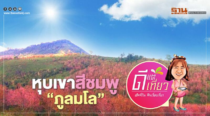หนาวลม ห่มพญาเสือโคร่ง ซากุระเมืองไทย หุบเขาสีชมพู “ภูลมโล” หนาวลม ห่มพญาเสือโคร่ง ซากุระเมืองไทย หุบเขาสีชมพู “ภูลมโล”