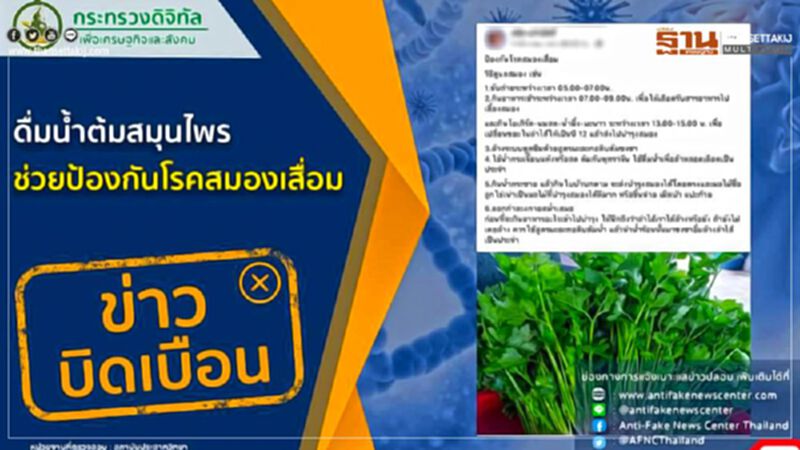ข่าวบิดเบือน ดื่มน้ำต้มสมุนไพร ช่วยป้องกันโรคสมองเสื่อม ข่าวบิดเบือน ดื่มน้ำต้มสมุนไพร ช่วยป้องกันโรคสมองเสื่อม