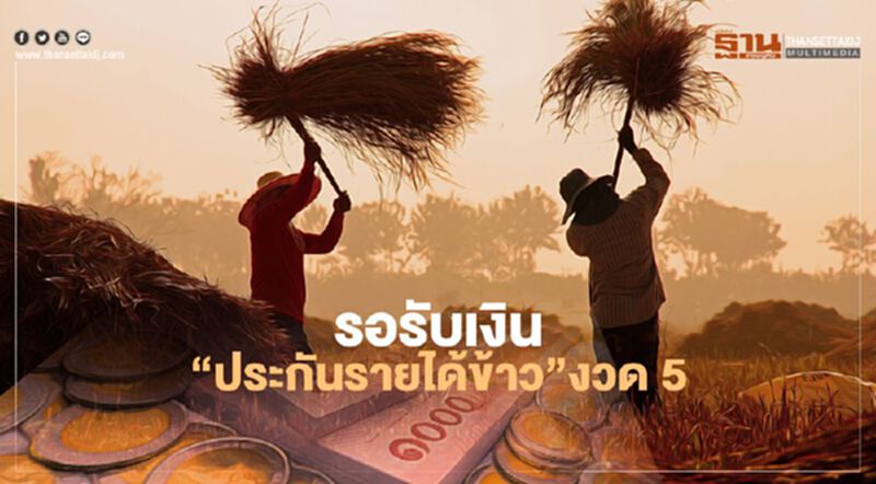 "ประกันรายได้ข้าว" งวดที่ 5 โอนอีกครั้ง 14 ธ.ค.นี้ "ประกันรายได้ข้าว" งวดที่ 5 โอนอีกครั้ง 14 ธ.ค.นี้