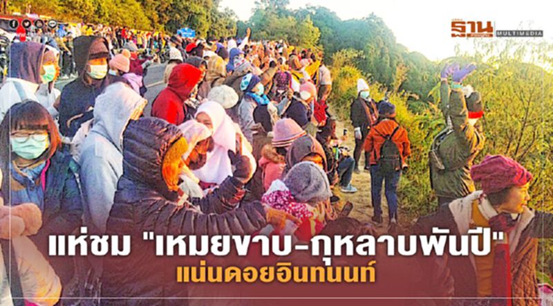 แห่ชม"เหมยขาบ-กุหลาบพันปี"แน่นดอยอินทนนท์ แห่ชม"เหมยขาบ-กุหลาบพันปี"แน่นดอยอินทนนท์