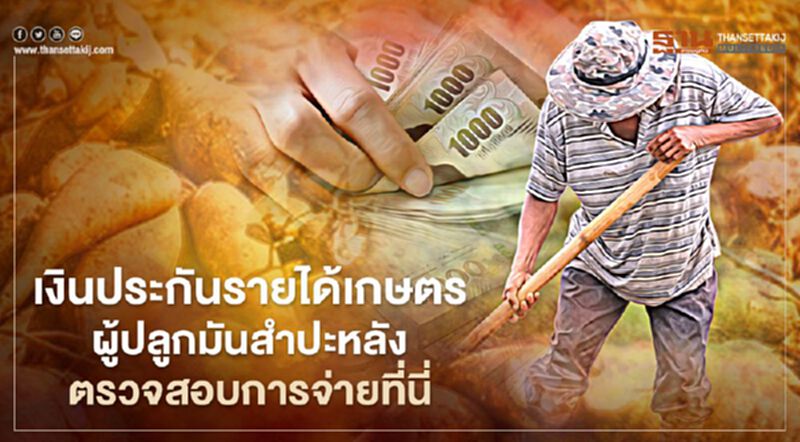 "เงินประกันรายได้เกษตรกร"ธ.ก.ส.จ่ายเงินชาวไร่ปลูกมันสำปะหลัง งวดถัดไปตรวจสอบที่นี่ "เงินประกันรายได้เกษตรกร"ธ.ก.ส.จ่ายเงินชาวไร่ปลูกมันสำปะหลัง งวดถัดไปตรวจสอบที่นี่