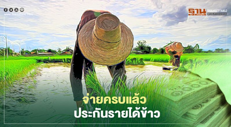 ตรวจสอบสถานะ "ประกันรายได้ข้าว" เงินจ่ายครบแล้ว ตรวจสอบสถานะ "ประกันรายได้ข้าว" เงินจ่ายครบแล้ว