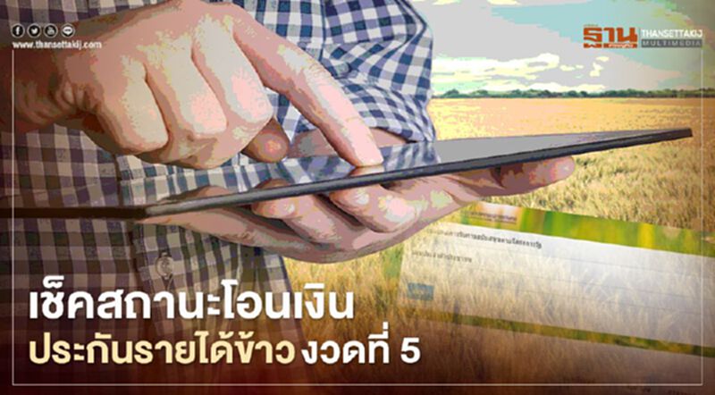 “เงินประกันรายได้เกษตรกร” งวด5 พร้อมโอนแล้ววันนี้ตรวจสอบสิทธิผ่าน 4 ช่องทาง “เงินประกันรายได้เกษตรกร” งวด5 พร้อมโอนแล้ววันนี้ตรวจสอบสิทธิผ่าน 4 ช่องทาง