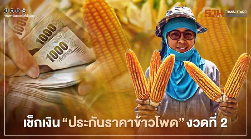 “พาณิชย์” เคาะแล้ว “ประกันรายได้ข้าวโพด” งวดที่ 2 รอบนี้จ่ายสูงสุด 6,844.8  บาท