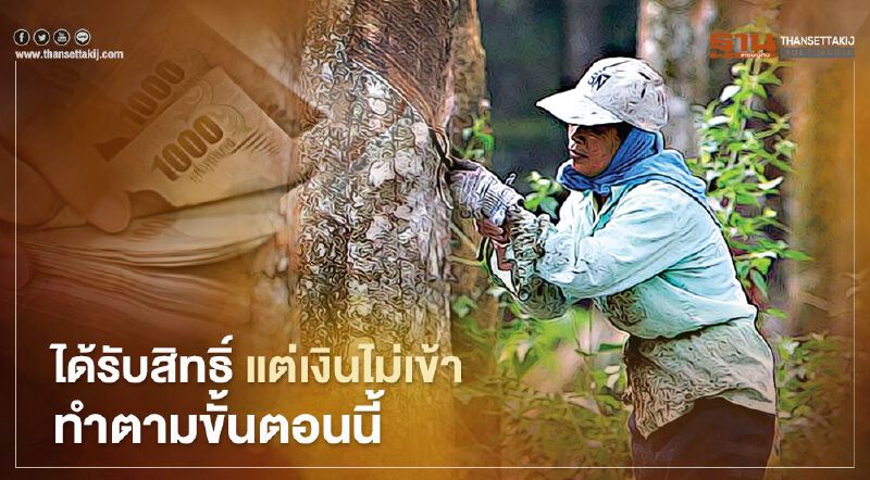 เคลียร์ “เงินประกันรายได้ยางพารา” ได้รับสิทธิ์ แต่เงินไม่เข้า ได้รับเมื่อไร? เคลียร์ “เงินประกันรายได้ยางพารา” ได้รับสิทธิ์ แต่เงินไม่เข้า ได้รับเมื่อไร?