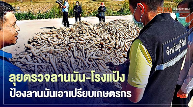 ลุยตรวจลานมัน-โรงแป้ง ป้องลานมันเอาเปรียบเกษตรกร ลุยตรวจลานมัน-โรงแป้ง ป้องลานมันเอาเปรียบเกษตรกร