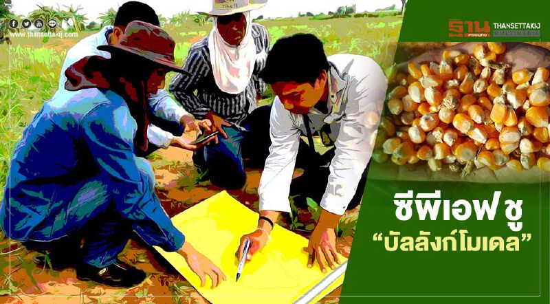 ซีพีเอฟชู “บัลลังก์โมเดล” สร้างสมาร์ฟาร์มเมอร์ข้าวโพด
