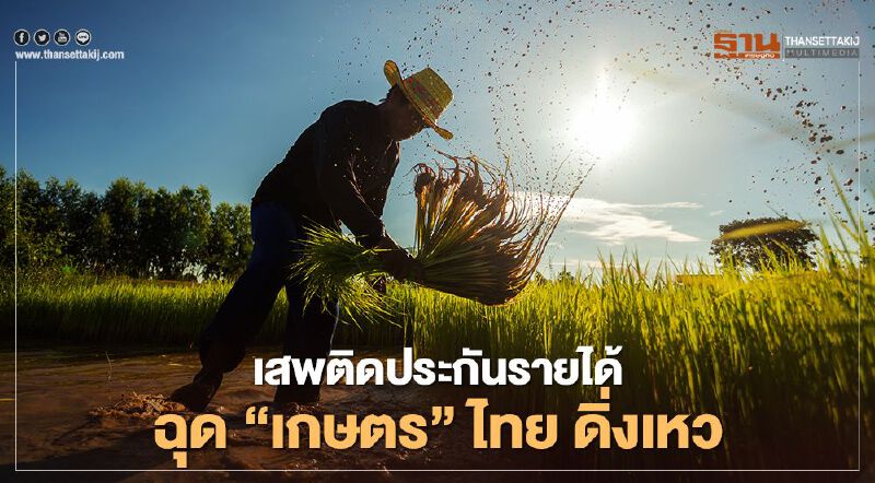 เสพติดประกันรายได้ ฉุด ”เกษตร” ไทย ดิ่งเหว