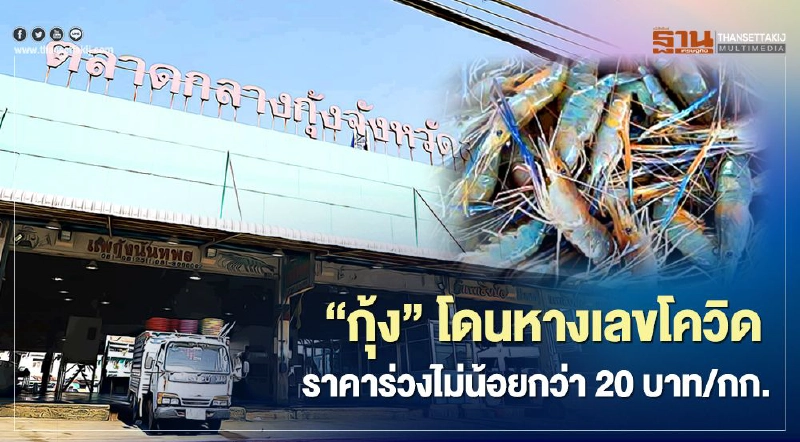 “กุ้ง” โดนหางเลขโควิด ทุบราคาร่วง ไม่น้อยกว่า 20 บาท/กก. “กุ้ง” โดนหางเลขโควิด ทุบราคาร่วง ไม่น้อยกว่า 20 บาท/กก.