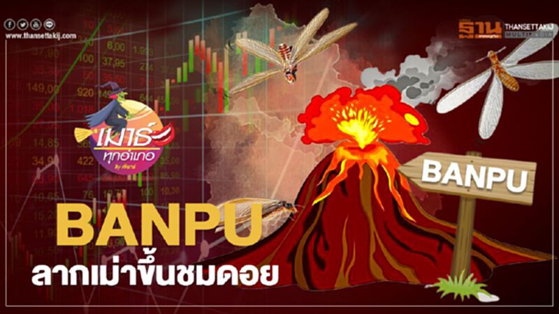 BANPU ลากเม่าขึ้นชมดอย BANPU ลากเม่าขึ้นชมดอย