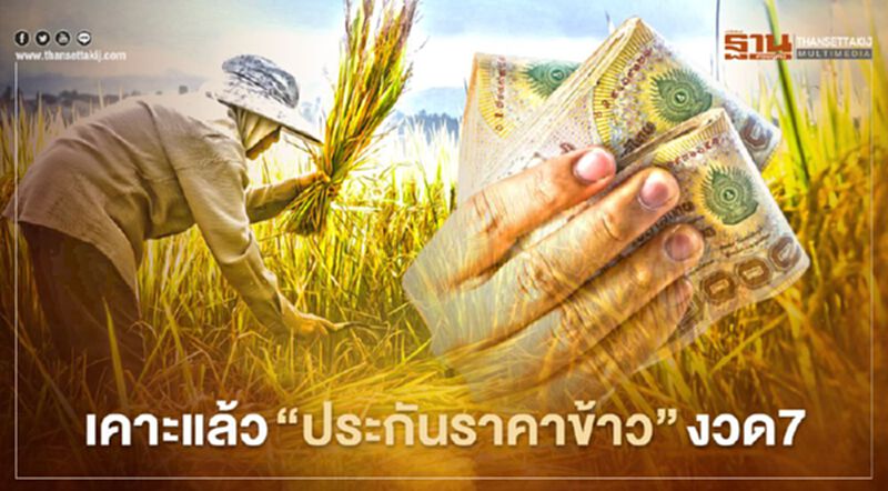 ตรวจสอบเงินประกันรายได้เกษตรกร จ่ายส่วนต่าง "ประกันราคาข้าว" งวด7 ล่าสุด ตรวจสอบเงินประกันรายได้เกษตรกร จ่ายส่วนต่าง "ประกันราคาข้าว" งวด7 ล่าสุด