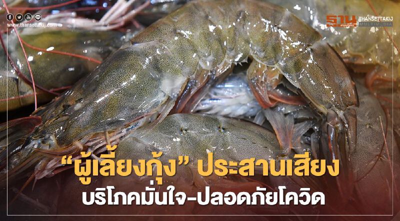 ผู้เลี้ยงกุ้งประสานเสียง บริโภคมั่นใจ-ปลอดภัยโควิด