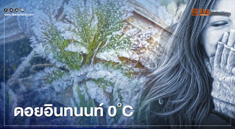 "ดอยอินทนนท์"อากาศหนาว 0 องศา เหมยขาบขาวโพลน "ดอยอินทนนท์"อากาศหนาว 0 องศา เหมยขาบขาวโพลน