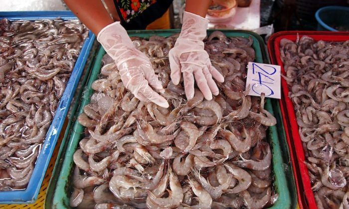 "กุ้ง"ป่วนราคาตก-ล้นตลาด  พาณิชย์เร่งช่วยหาที่ระบาย