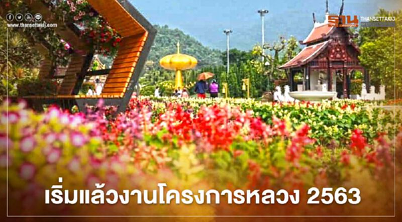 เปิดแล้ว! งาน "โครงการหลวง 2563" เข้าชมฟรี เปิดแล้ว! งาน "โครงการหลวง 2563" เข้าชมฟรี