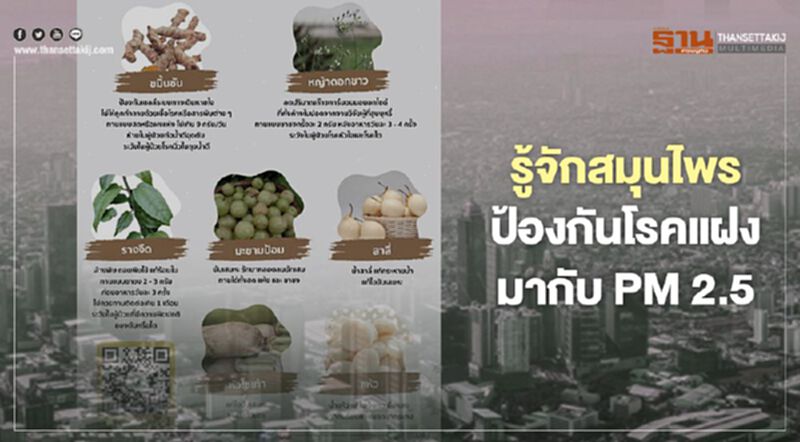 รู้หรือไม่ว่า สมุนไพรสามารถช่วยป้องกันโรคที่แฝงมากับ "ฝุ่นPM2.5" ได้ รู้หรือไม่ว่า สมุนไพรสามารถช่วยป้องกันโรคที่แฝงมากับ "ฝุ่นPM2.5" ได้
