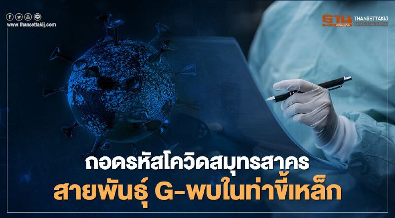 ถอดรหัสพันธุกรรม“โควิดสมุทรสาคร”เป็นสายพันธุ์ G พบในท่าขี้เหล็ก ถอดรหัสพันธุกรรม“โควิดสมุทรสาคร”เป็นสายพันธุ์ G พบในท่าขี้เหล็ก