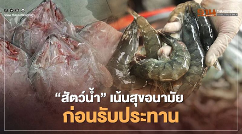 “สัตว์น้ำ” เน้นสุขอนามัยก่อนรับประทาน ไร้ปนเปื้อนเชื้อโควิด “สัตว์น้ำ” เน้นสุขอนามัยก่อนรับประทาน ไร้ปนเปื้อนเชื้อโควิด