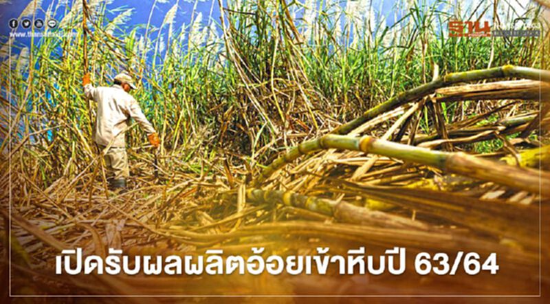 เปิดหีบปี 63/64 อ้อยสดเข้า 83.54% จากปริมาณ 4.99 ล้านตัน เปิดหีบปี 63/64 อ้อยสดเข้า 83.54% จากปริมาณ 4.99 ล้านตัน