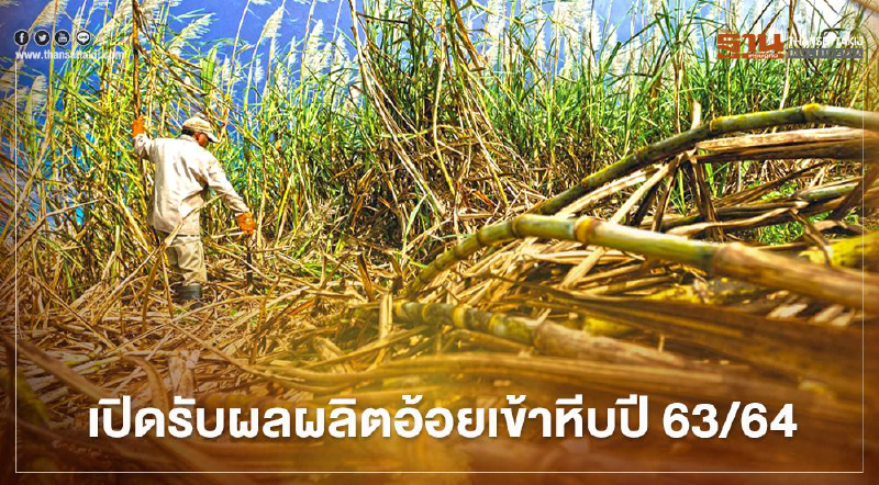 เปิดหีบปี 63/64 อ้อยสดเข้า 83.54% จากปริมาณ 4.99 ล้านตัน
