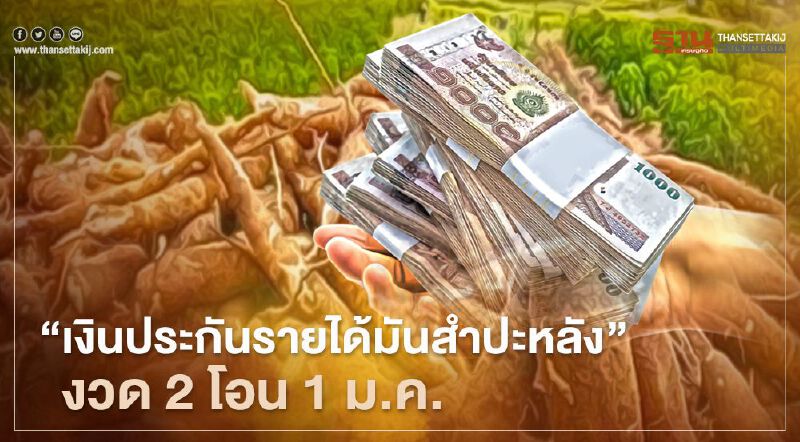 “เงินประกันรายได้มันสำปะหลัง” งวด2 ธ.ก.ส. นัดโอน 1 มกราคม 2564 ตรง “วันขึ้นปีใหม่” 