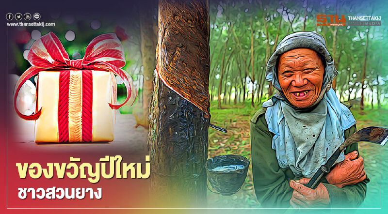 เกษตรกร ได้เฮ! รับเงินส่วนต่าง “ประกันรายได้” งวด 2 ส่งท้ายปี