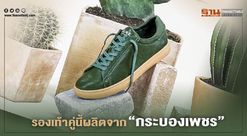รองเท้าคู่นี้ผลิตจาก “กระบองเพชร” รองเท้าคู่นี้ผลิตจาก “กระบองเพชร”