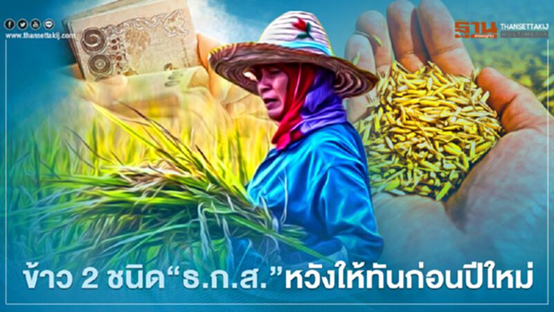 “เงินประกันรายได้” ข้าว 2 ชนิด “ธ.ก.ส." แจ้งข่าวดี หวังให้ทันก่อน “วันขึ้นปีใหม่” “เงินประกันรายได้” ข้าว 2 ชนิด “ธ.ก.ส." แจ้งข่าวดี หวังให้ทันก่อน “วันขึ้นปีใหม่”