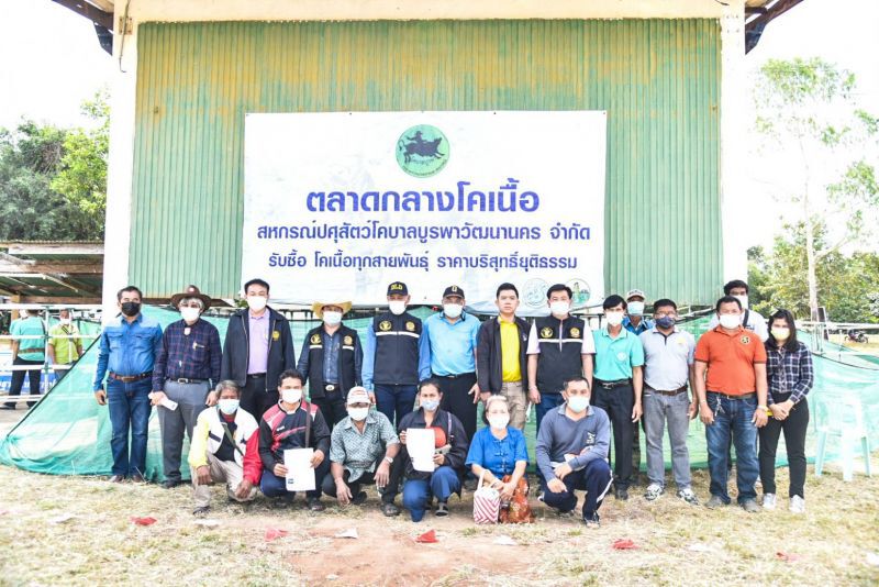  “โคบาลบูรพา”จำหน่ายลูกโค   เงินสะพัดส่งท้ายปี