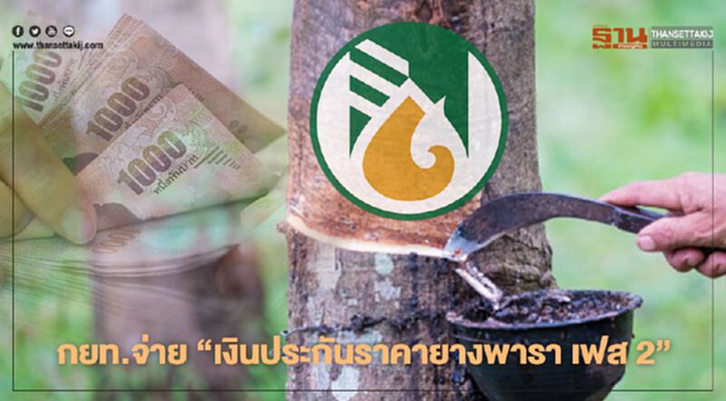 ชาวสวนยางมีเฮ กยท.มอบของขวัญปีใหม่ ลุยจ่าย “เงินประกันราคายางพารา เฟส 2” พรุ่งนี้ ชาวสวนยางมีเฮ กยท.มอบของขวัญปีใหม่ ลุยจ่าย “เงินประกันราคายางพารา เฟส 2” พรุ่งนี้