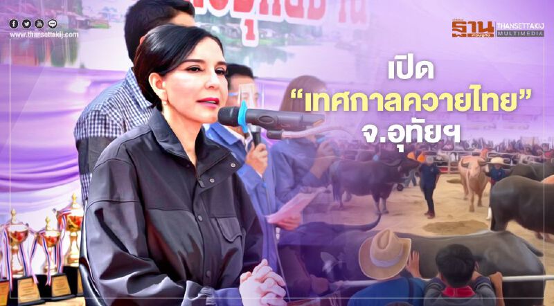 เปิด “เทศกาลควายไทย” จ.อุทัยฯ เร่งปรับปรุงพันธุ์-สร้างอัตลักษณ์จังหวัด