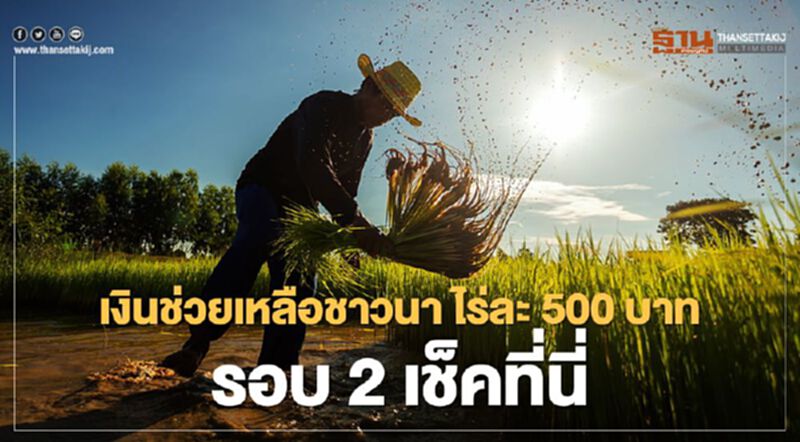 “เงินช่วยเหลือชาวนา” ไร่ละ 500 บาท รอบ2 เช็กที่นี่ “เงินช่วยเหลือชาวนา” ไร่ละ 500 บาท รอบ2 เช็กที่นี่