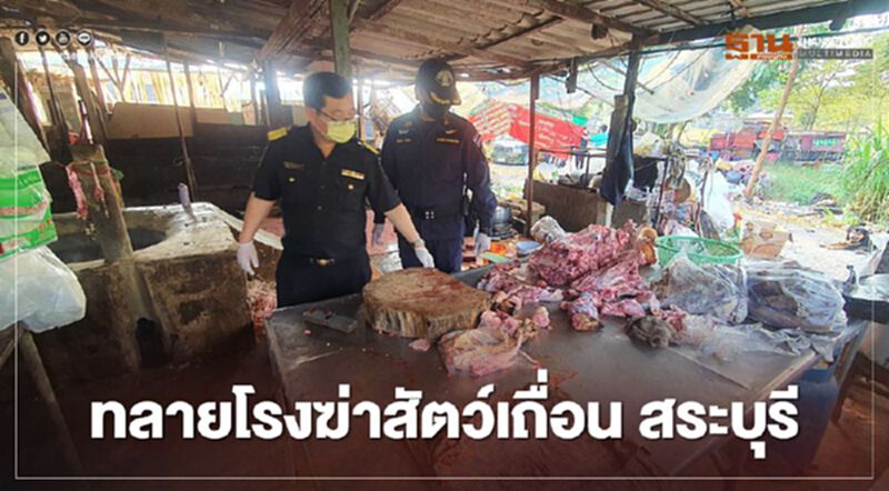 ทลายโรงฆ่าสัตว์เถื่อน สระบุรี ทลายโรงฆ่าสัตว์เถื่อน สระบุรี