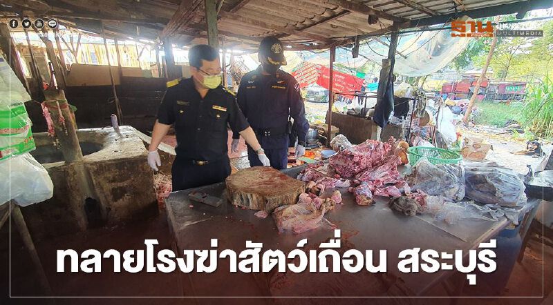 ทลายโรงฆ่าสัตว์เถื่อน สระบุรี