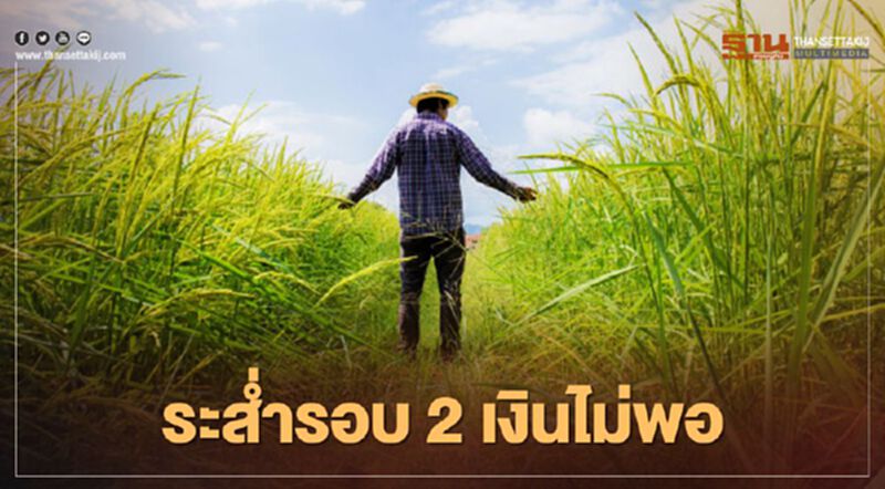 ป่วน “ประกันรายได้ข้าว” ระส่ำ รอบ2 เงินไม่พอ เช็กวุ่น ป่วน “ประกันรายได้ข้าว” ระส่ำ รอบ2 เงินไม่พอ เช็กวุ่น