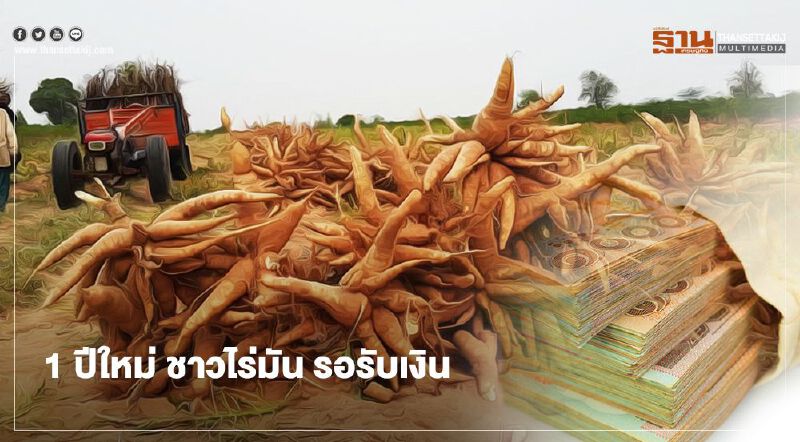 ชาวไร่มัน เฮ! 1 ม.ค.64 รับเงินประกันรายได้งวด2 สูงสุด 2 หมื่นบาท
