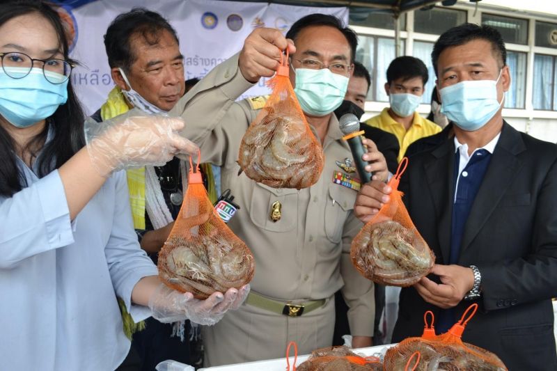 สมาคมกุ้งตะวันออกสร้างเชื่อมั่น “กินอาหารทะเลปลอดภัย”