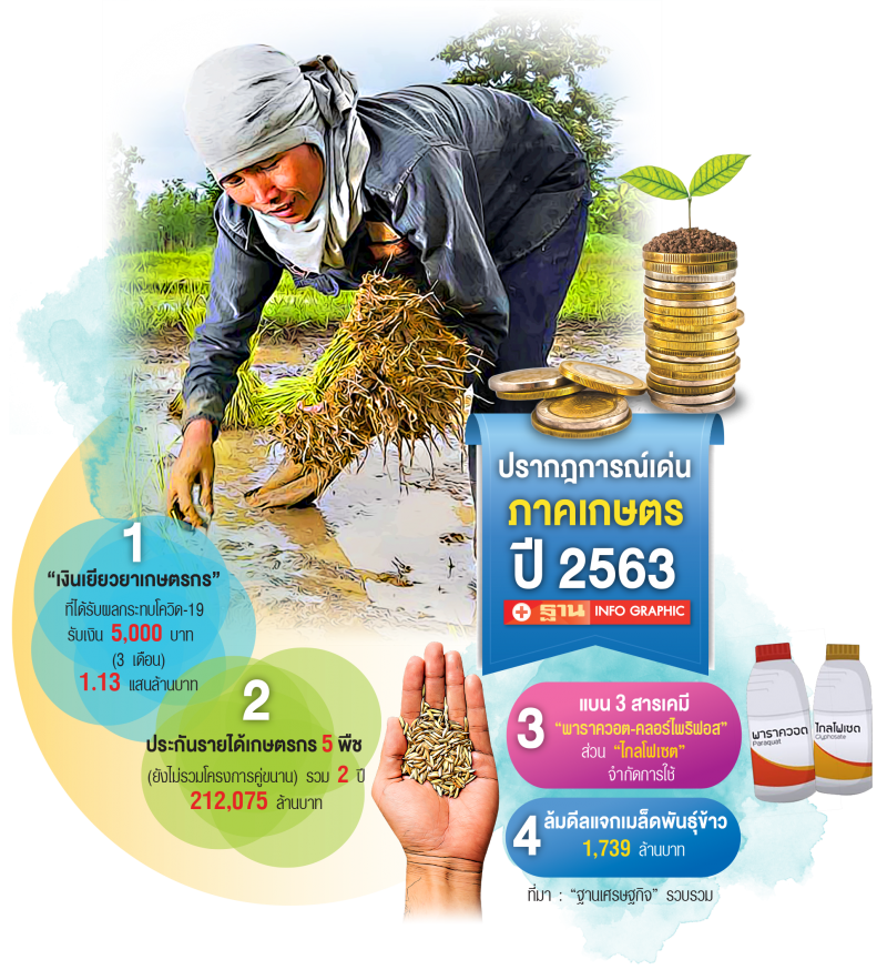 ข่าวเด่น - ข่าวดัง "เกษตร" รอบปี63