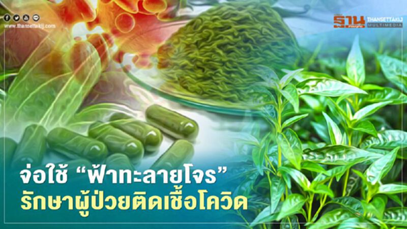 ข่าวดี! กรมการแพทย์แผนไทยฯ ผนึก รพ.รัฐ เตรียมใช้ “ฟ้าทะลายโจร” รักษาผู้ป่วยติดโควิด ข่าวดี! กรมการแพทย์แผนไทยฯ ผนึก รพ.รัฐ เตรียมใช้ “ฟ้าทะลายโจร” รักษาผู้ป่วยติดโควิด