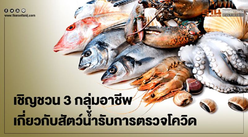 "นครปฐม" เชิญชวน 3 กลุ่มอาชีพเกี่ยวกับสัตว์น้ำรับการตรวจโควิด-19 "นครปฐม" เชิญชวน 3 กลุ่มอาชีพเกี่ยวกับสัตว์น้ำรับการตรวจโควิด-19