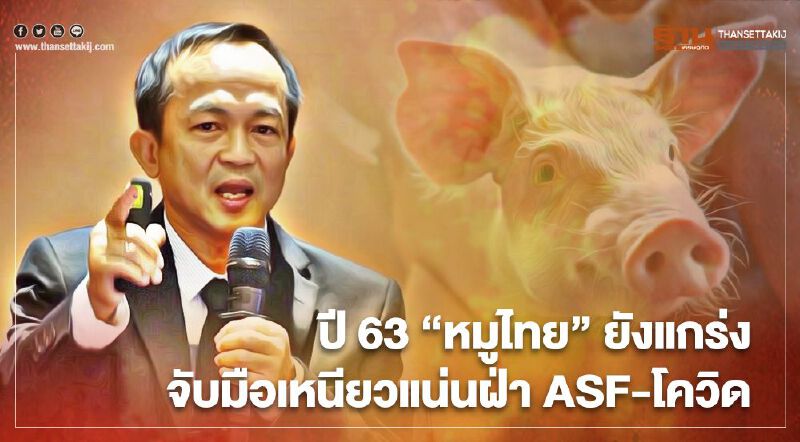  ปี 63 หมูไทยยังแกร่ง จับมือเหนียวแน่นฝ่า ASF-โควิด 