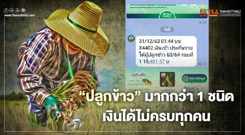 "เงินประกันรายได้ข้าว" จ่ายส่วนต่าง “ปลูกข้าว” มากกว่า 1 ชนิด เงินได้ไม่ครบทุกคน เช็ก ธ.ก.ส. ด่วน "เงินประกันรายได้ข้าว" จ่ายส่วนต่าง “ปลูกข้าว” มากกว่า 1 ชนิด เงินได้ไม่ครบทุกคน เช็ก ธ.ก.ส. ด่วน
