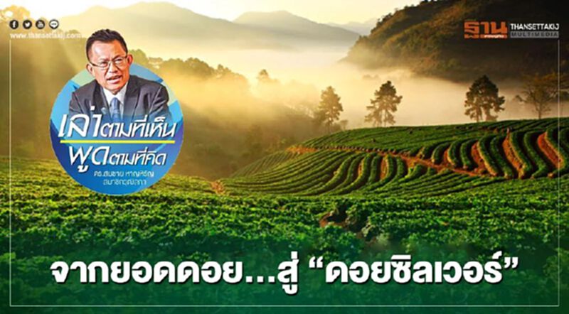 จากยอดดอย … สู่ “ดอยซิลเวอร์” จากยอดดอย … สู่ “ดอยซิลเวอร์”