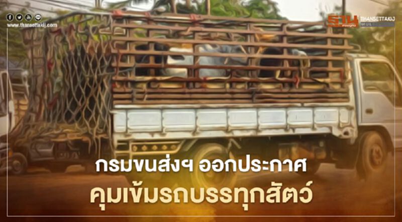 กรมขนส่งฯ ออกประกาศ คุมเข้มรถบรรทุกสัตว์เข้าพื้นที่เสี่ยง กรมขนส่งฯ ออกประกาศ คุมเข้มรถบรรทุกสัตว์เข้าพื้นที่เสี่ยง