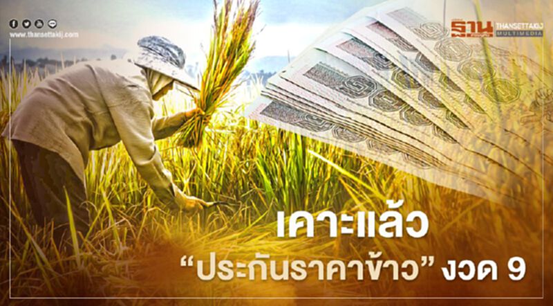 ตรวจสอบเงินประกันรายได้เกษตรกร จ่ายส่วนต่าง "ประกันราคาข้าว" งวด9 ล่าสุด ตรวจสอบเงินประกันรายได้เกษตรกร จ่ายส่วนต่าง "ประกันราคาข้าว" งวด9 ล่าสุด