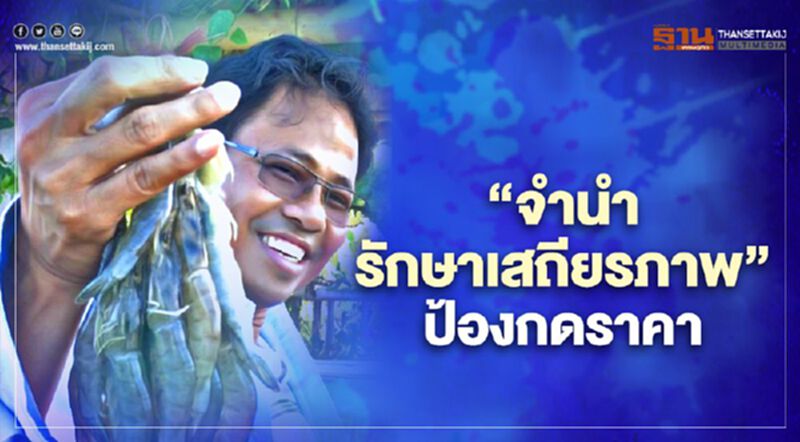 เครือข่ายผู้เลี้ยงกุ้งไทย งัด “จำนำ-รักษาเสถียรภาพ” ป้องพ่อค้ากดราคา เครือข่ายผู้เลี้ยงกุ้งไทย งัด “จำนำ-รักษาเสถียรภาพ” ป้องพ่อค้ากดราคา