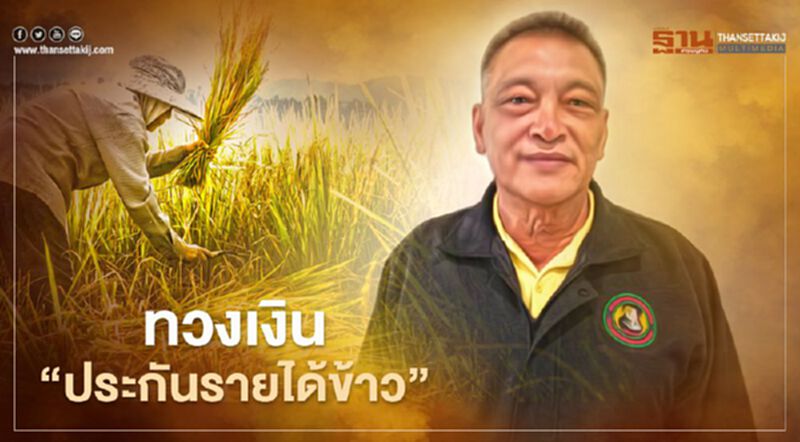 ชาวนาระงม ทวงเงิน “ประกันรายได้ข้าว” ชาวนาระงม ทวงเงิน “ประกันรายได้ข้าว”